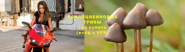 кокаин перу Заводоуковск